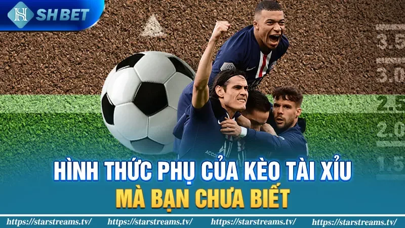 Bí mật chi tiết chinh phục kèo tài xỉu cho người mới bắt đầu 4 Hình thức phụ của kèo tài xỉu mà bạn chưa biết