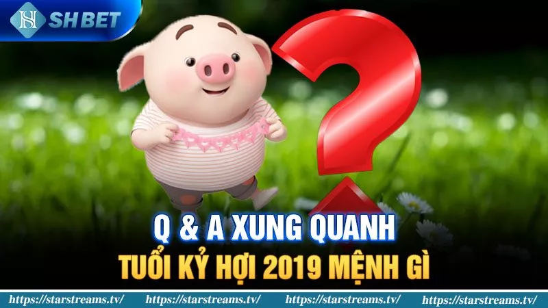 Khám Phá Kỷ Hợi Sinh Năm 2019 Mệnh Gì Chính Xác 4 Hỏi đáp xung quanh tuổi Kỷ Hợi 2019 mệnh gì