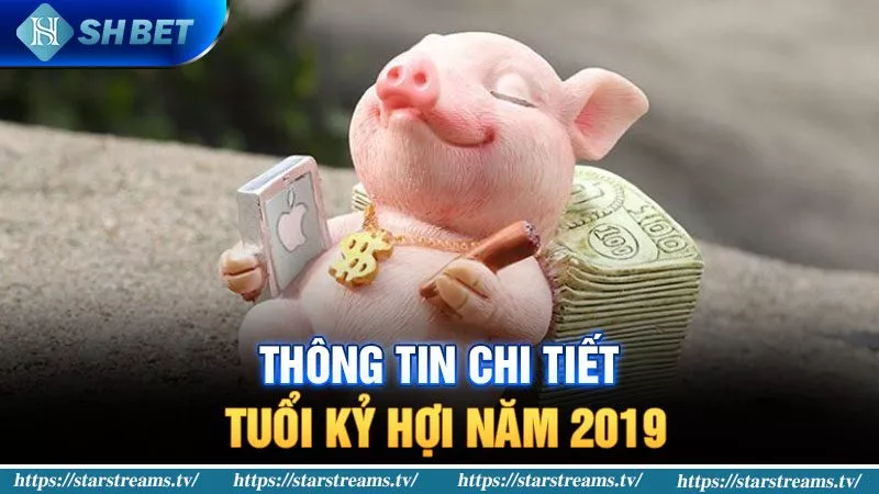 Khám Phá Kỷ Hợi Sinh Năm 2019 Mệnh Gì Chính Xác 1 Thông tin chi tiết tuổi Kỷ Hợi năm 2019